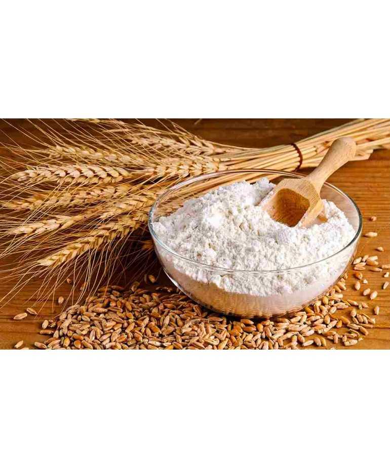 6 pz da 500g MEZZE PENNE RIGATE -...