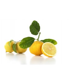 MARMELLATA BERGAMOTTO CON... 2