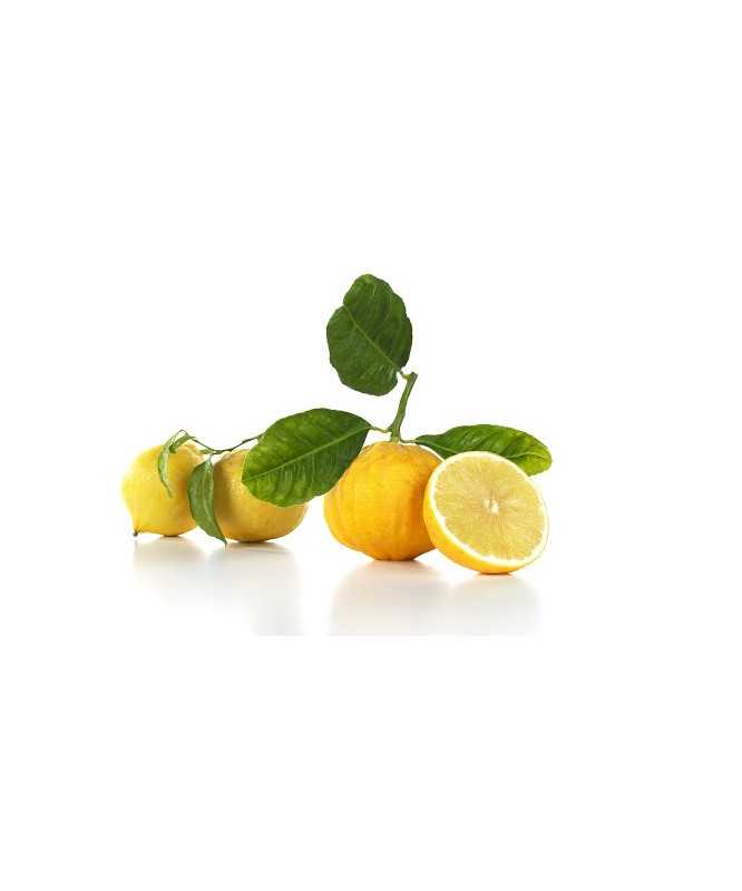 MARMELLATA BERGAMOTTO CON SCORZA NUOVA Confettura EXTRA da 320 g - AGRIMONTANA