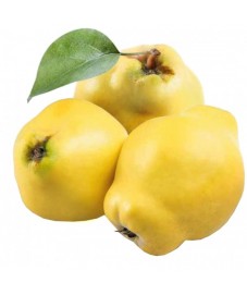 MARMELLATA MELE COTOGNE... 2