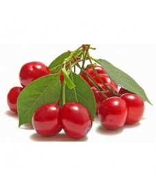 MARMELLATA VISCIOLE NUOVA... 2