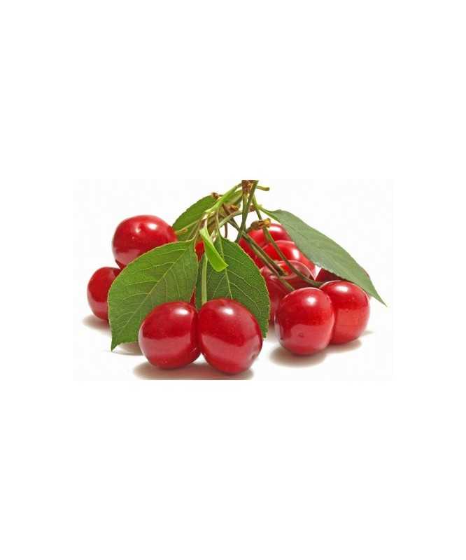 MARMELLATA VISCIOLE NUOVA Confettura EXTRA da 350 g - AGRIMONTANA