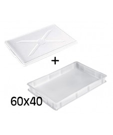 CASSETTA PORTAIMPASTO +...